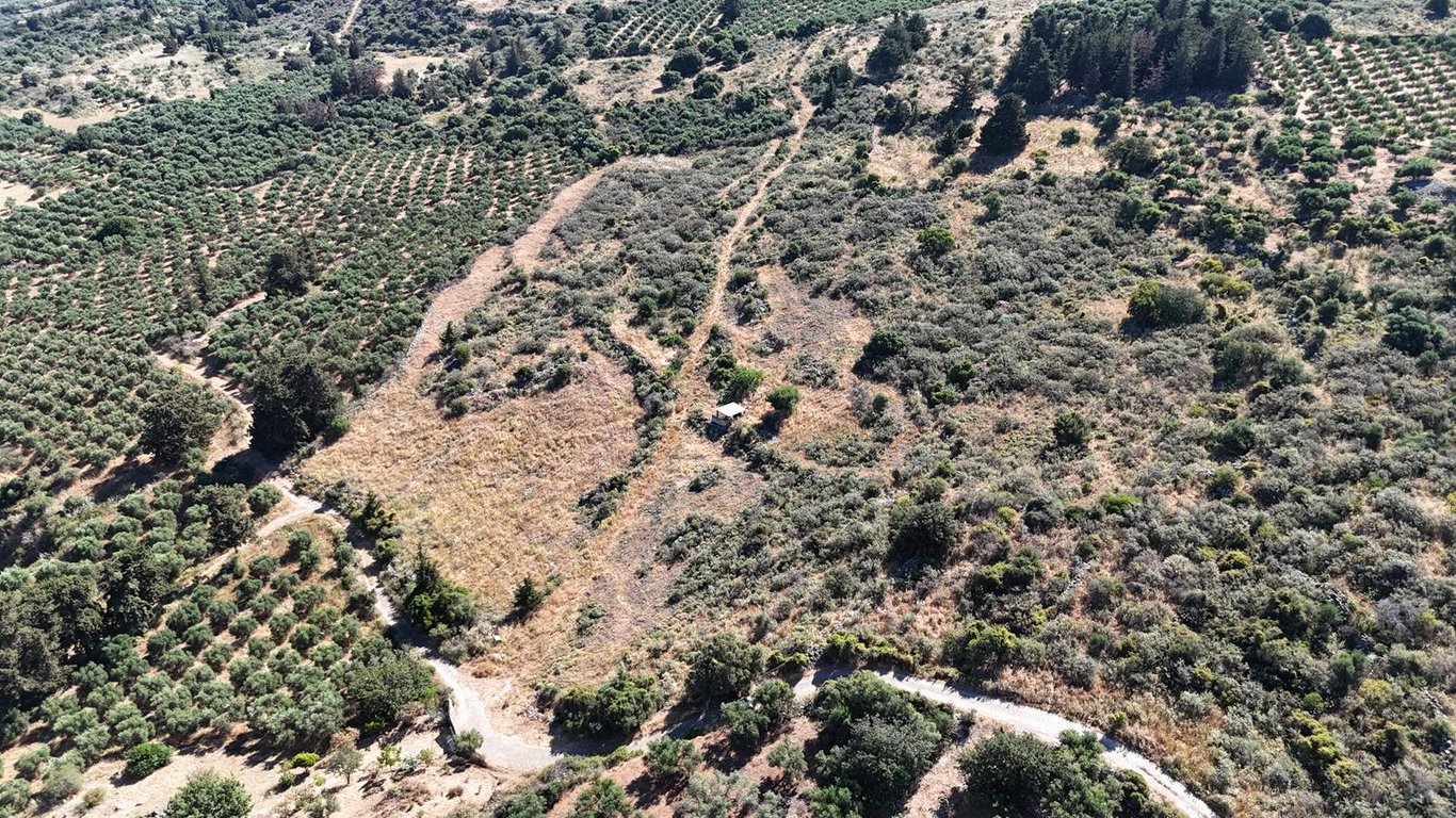 Land in Kaina - Image 4