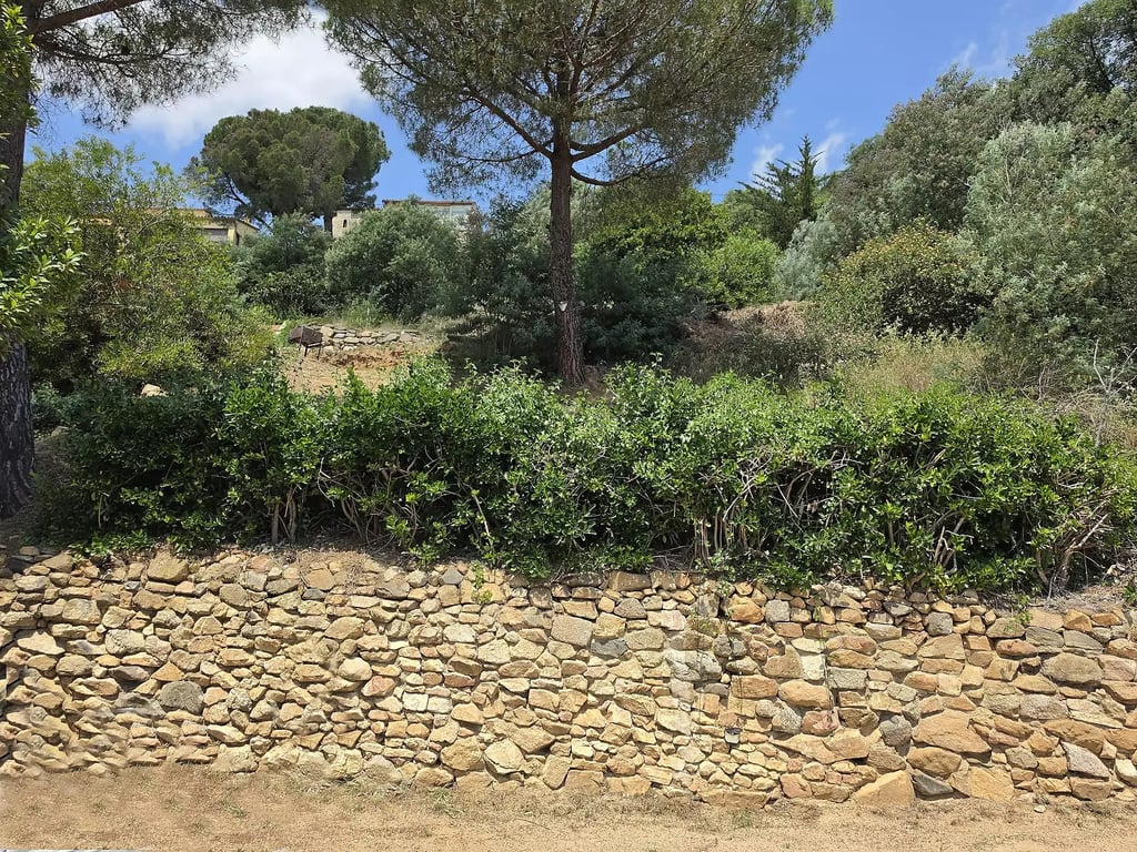 Land in Calonge - Image 3