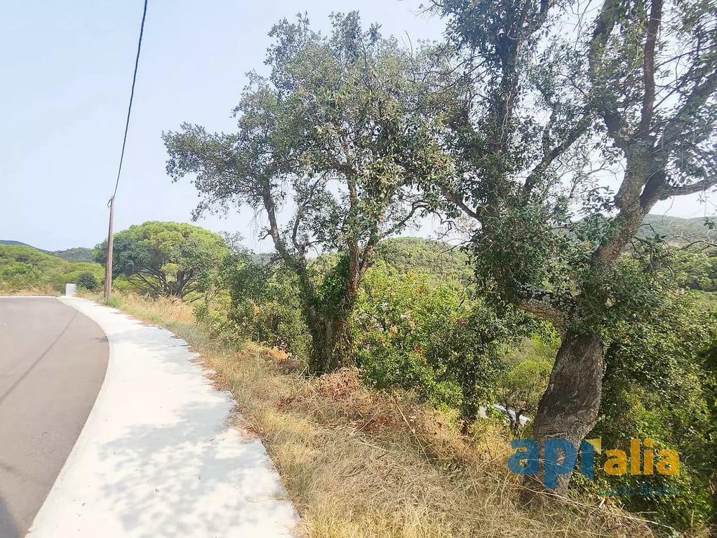 Land in Calonge