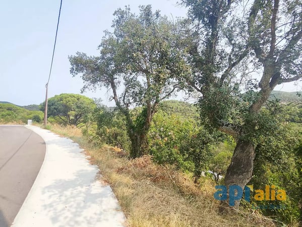 Land in Calonge - view 1