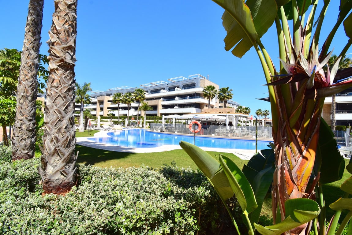 Apartment in Playa Flamenca - Image 2