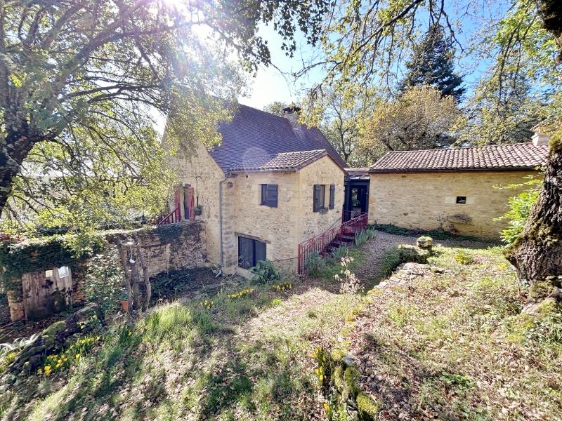 House in Sarlat-la-Caneda