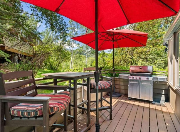 House in Pitkin County - view 1
