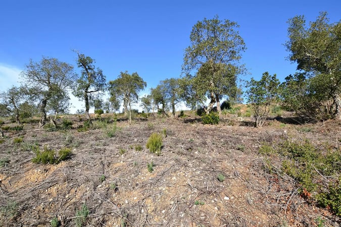 Land in Calonge - view 1
