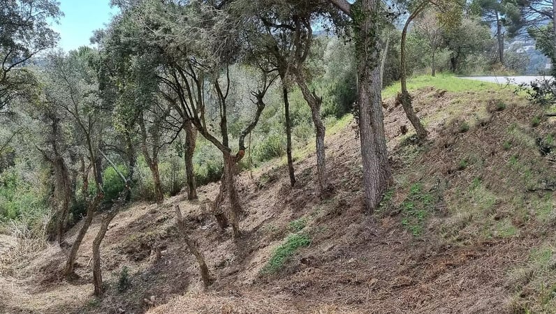 Land in Calonge - view 1