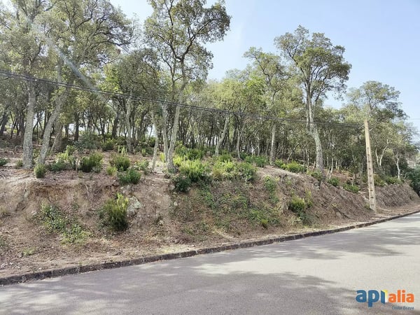 Land in Romanya de la Selva - view 1