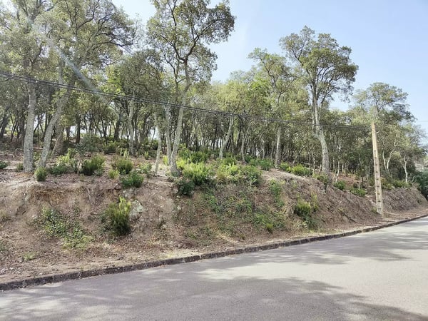 Land in Romanya de la Selva - view 1