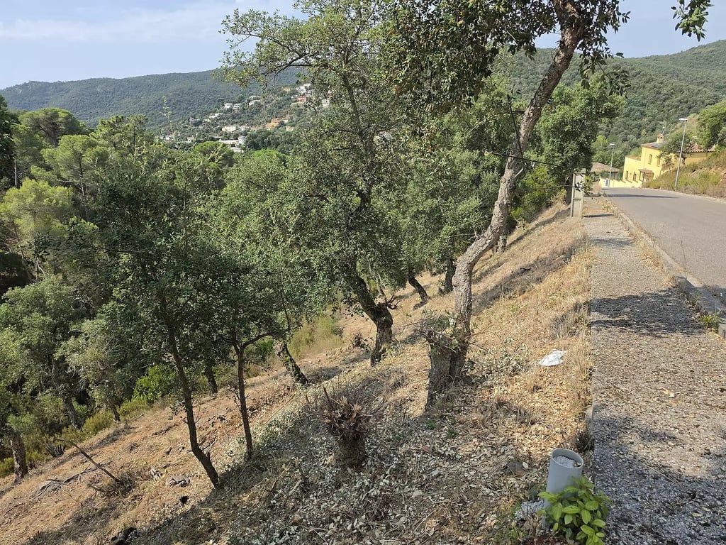 Land in Calonge - Image 3