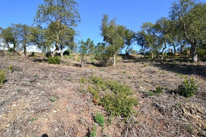 Land in Calonge - view 1
