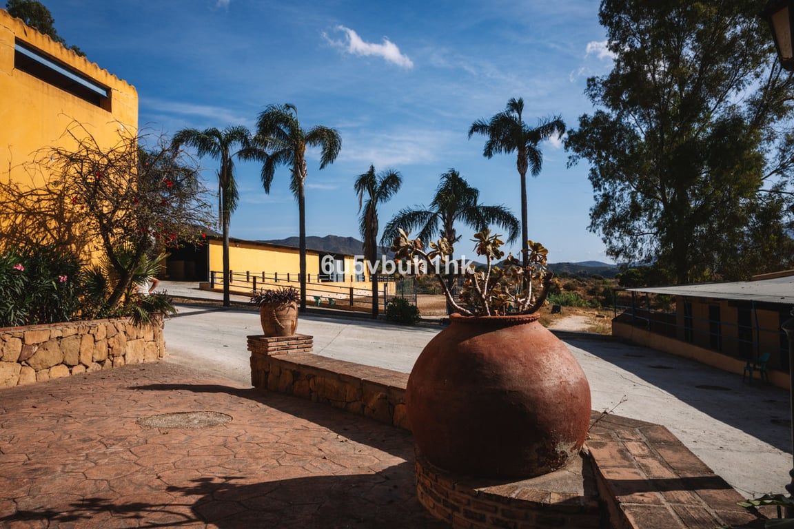 Apartment in Malaga - Image 2