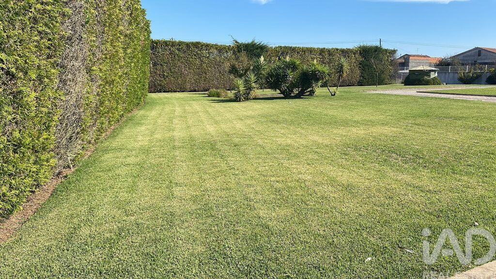 House in Apulia e Fao - Image 3