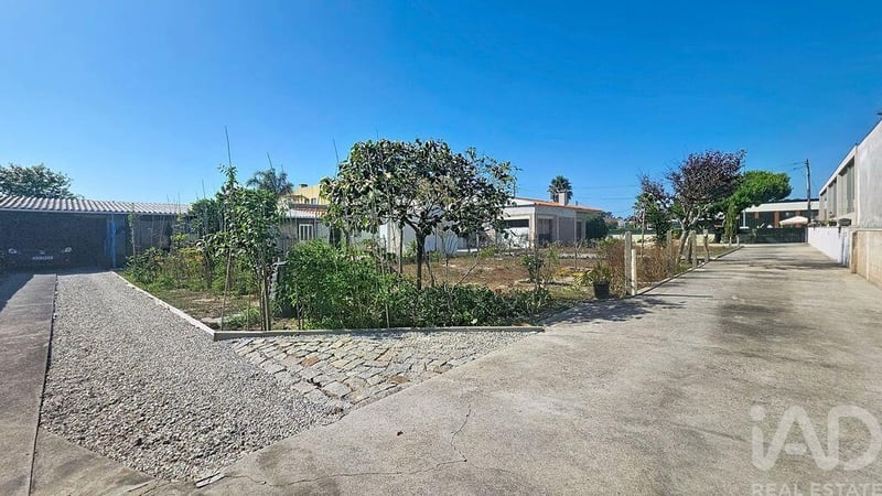 House in Sao Vicente de Pereira Jusa - view 1