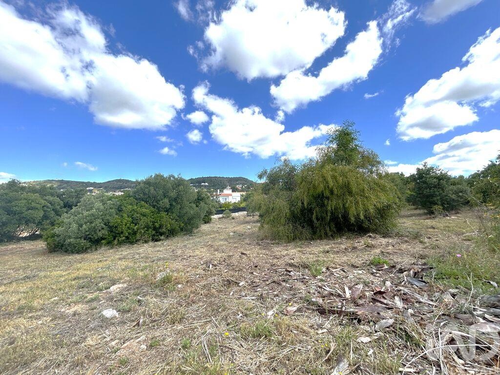 Land in Santa Barbara de Nexe - Image 3