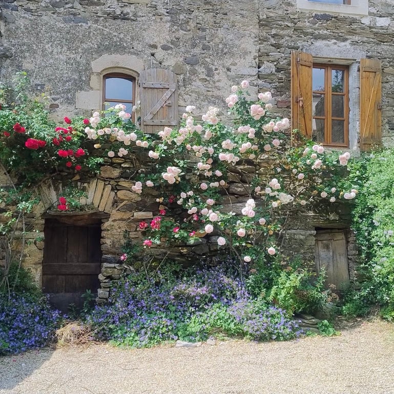 House in Roujan - Image 3