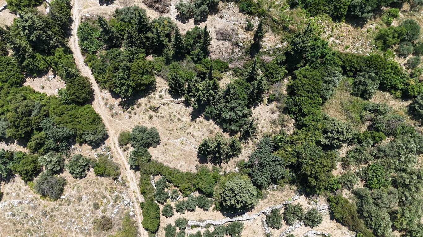 Land in Tzitzifes - Image 2