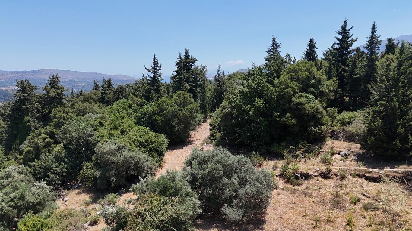 Land in Tzitzifes