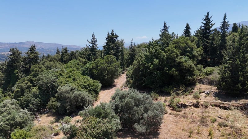 Land in Tzitzifes - view 1
