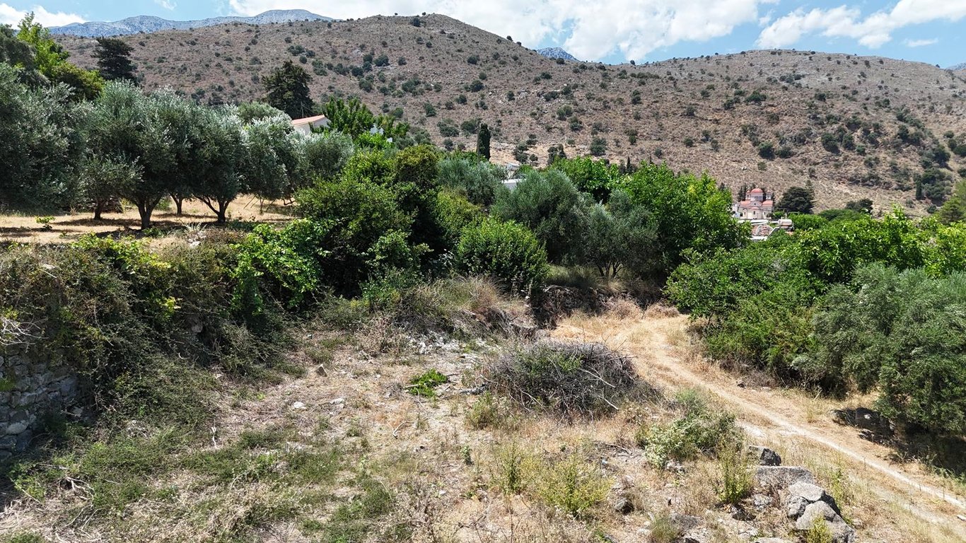 Land in Tzitzifes - Image 2