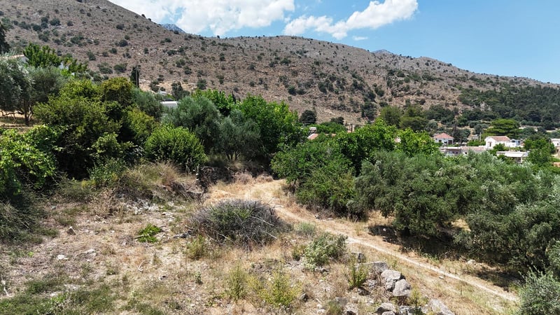 Land in Tzitzifes - view 1