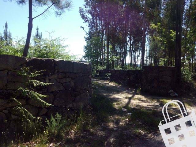 Land in Sao Pedro do Sul