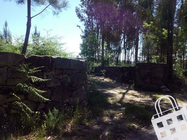 Land in Sao Pedro do Sul - view 1