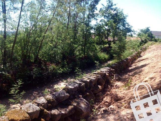 Land in Sao Pedro do Sul - Image 2