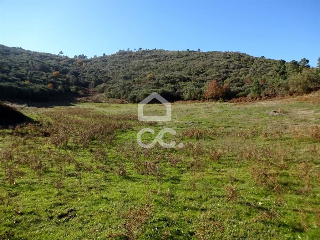 Land in Sao Joao da Fresta - Image 3