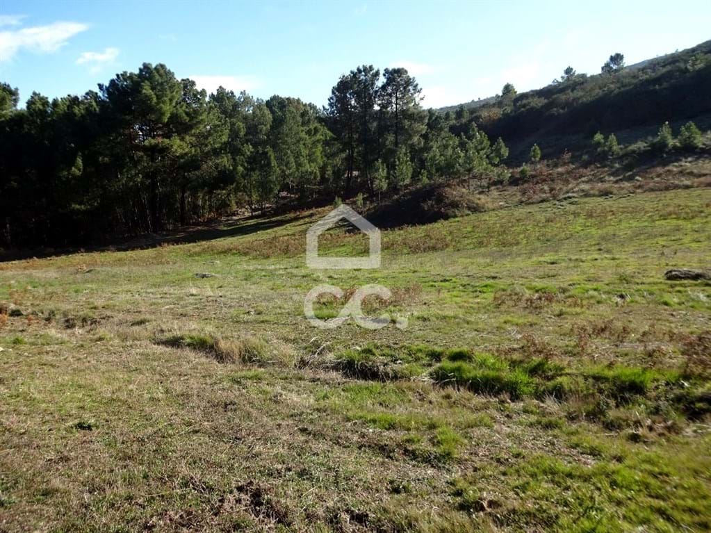 Land in Sao Joao da Fresta