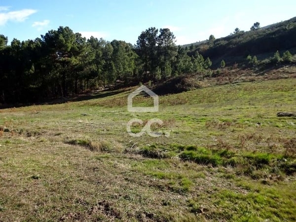 Land in Sao Joao da Fresta - view 1