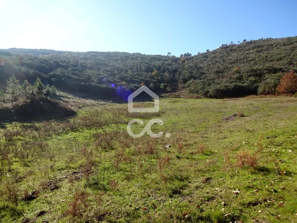Land in Sao Joao da Fresta - Image 2