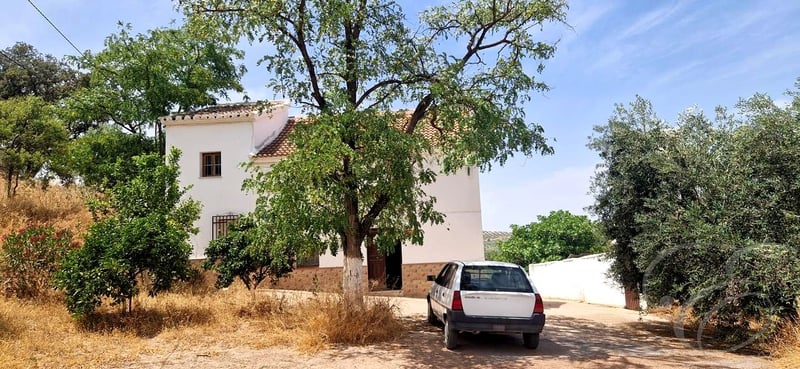 House in Villanueva de Algaidas - view 1