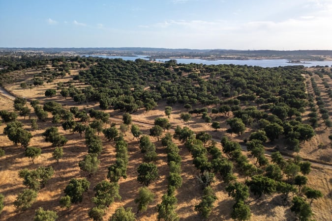 Land in Ourique - view 1