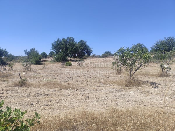 Land in Anogyra - view 1