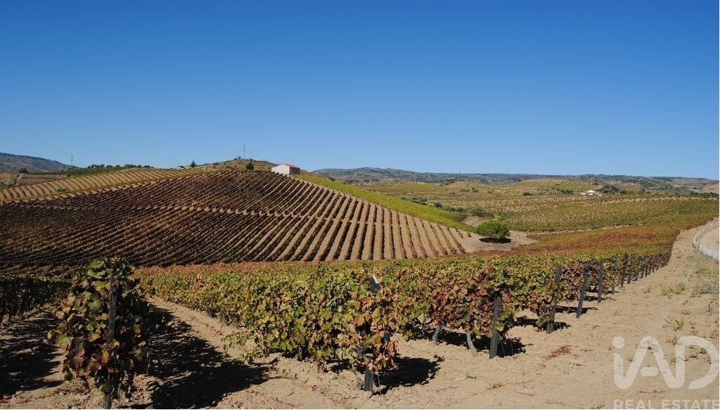 Farm, Ranch or Equestrian in Vila Flor - Image 3