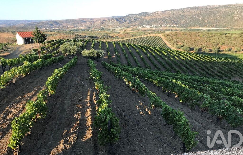 Farm, Ranch or Equestrian in Vila Flor