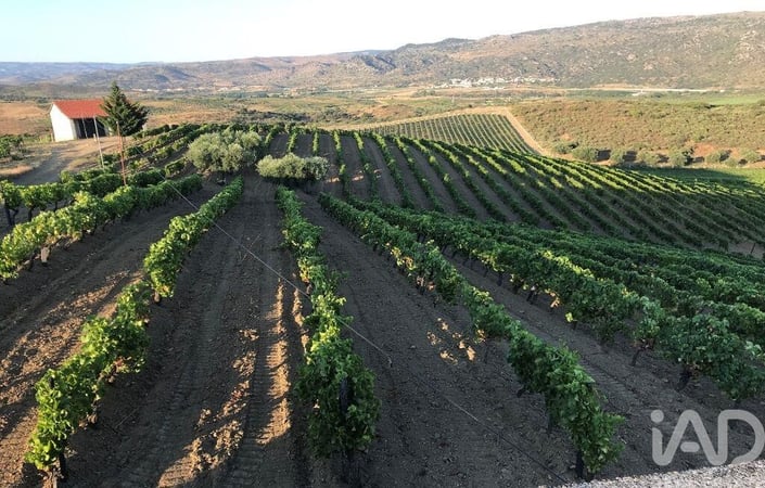 Farm, Ranch or Equestrian in Vila Flor - view 1