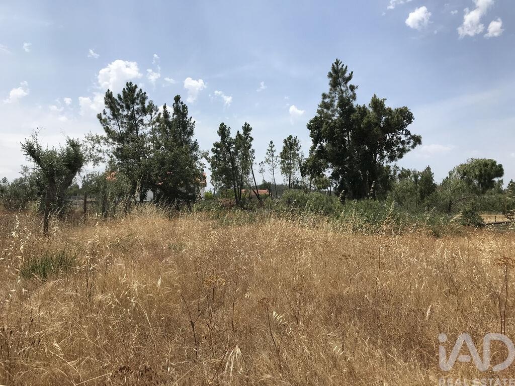 Land in Ribeira do Farrio