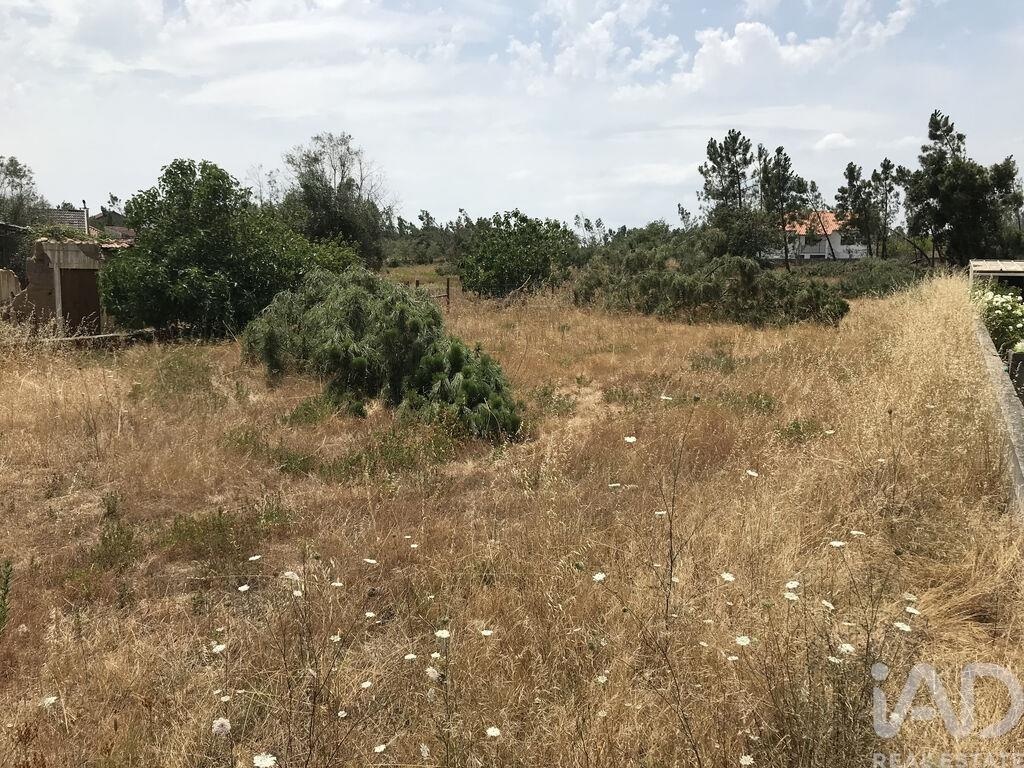 Land in Ribeira do Farrio - Image 2