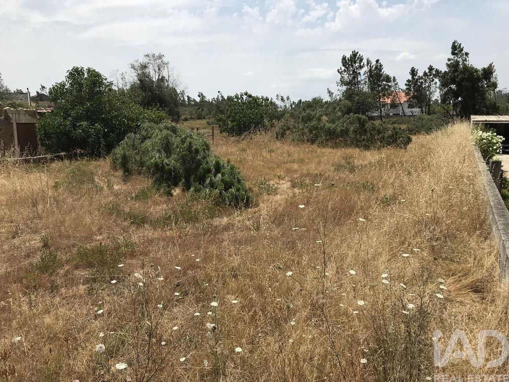 Land in Ribeira do Farrio - Image 3
