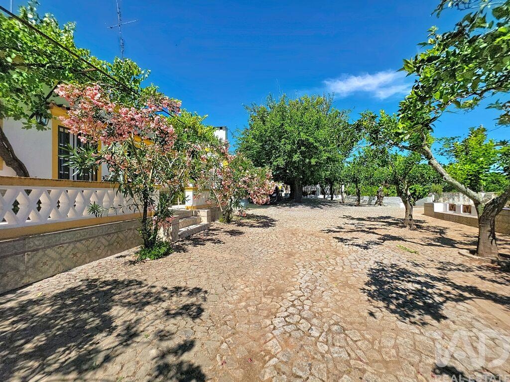 Farm, Ranch or Equestrian in Assuncao