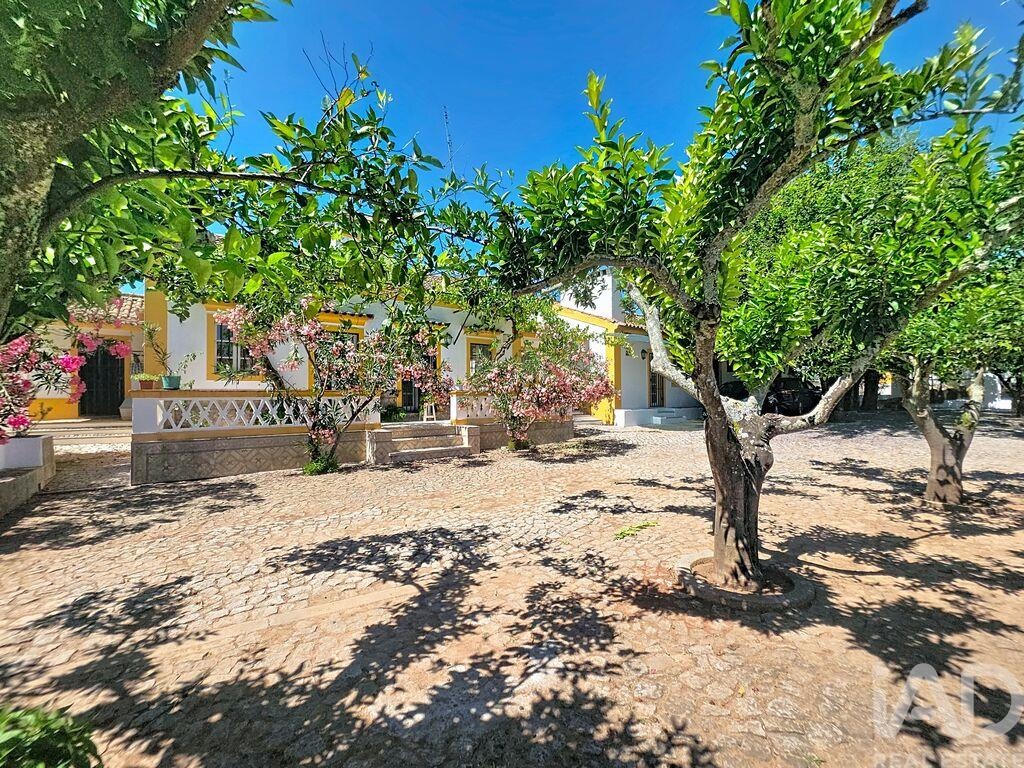Farm, Ranch or Equestrian in Assuncao - Image 2