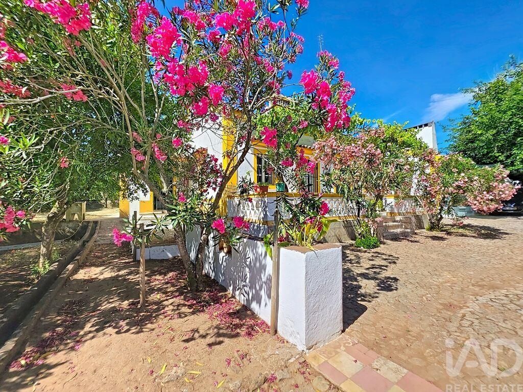 Farm, Ranch or Equestrian in Assuncao - Image 3