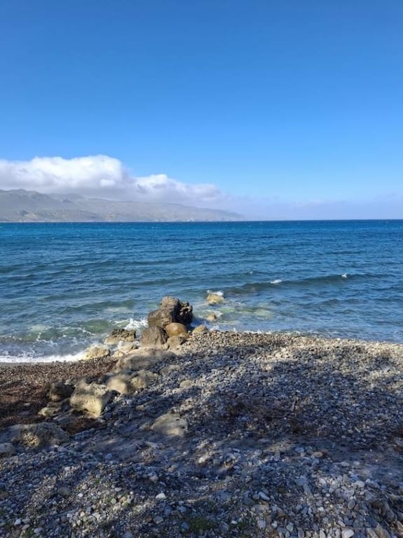 Land in Tavronitis - Image 2