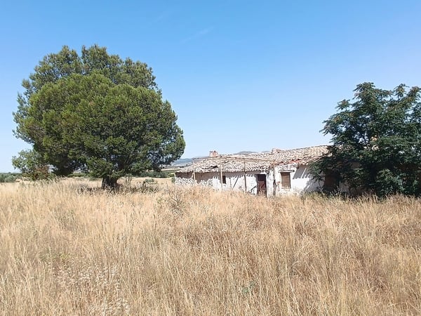 House in Yecla - view 1