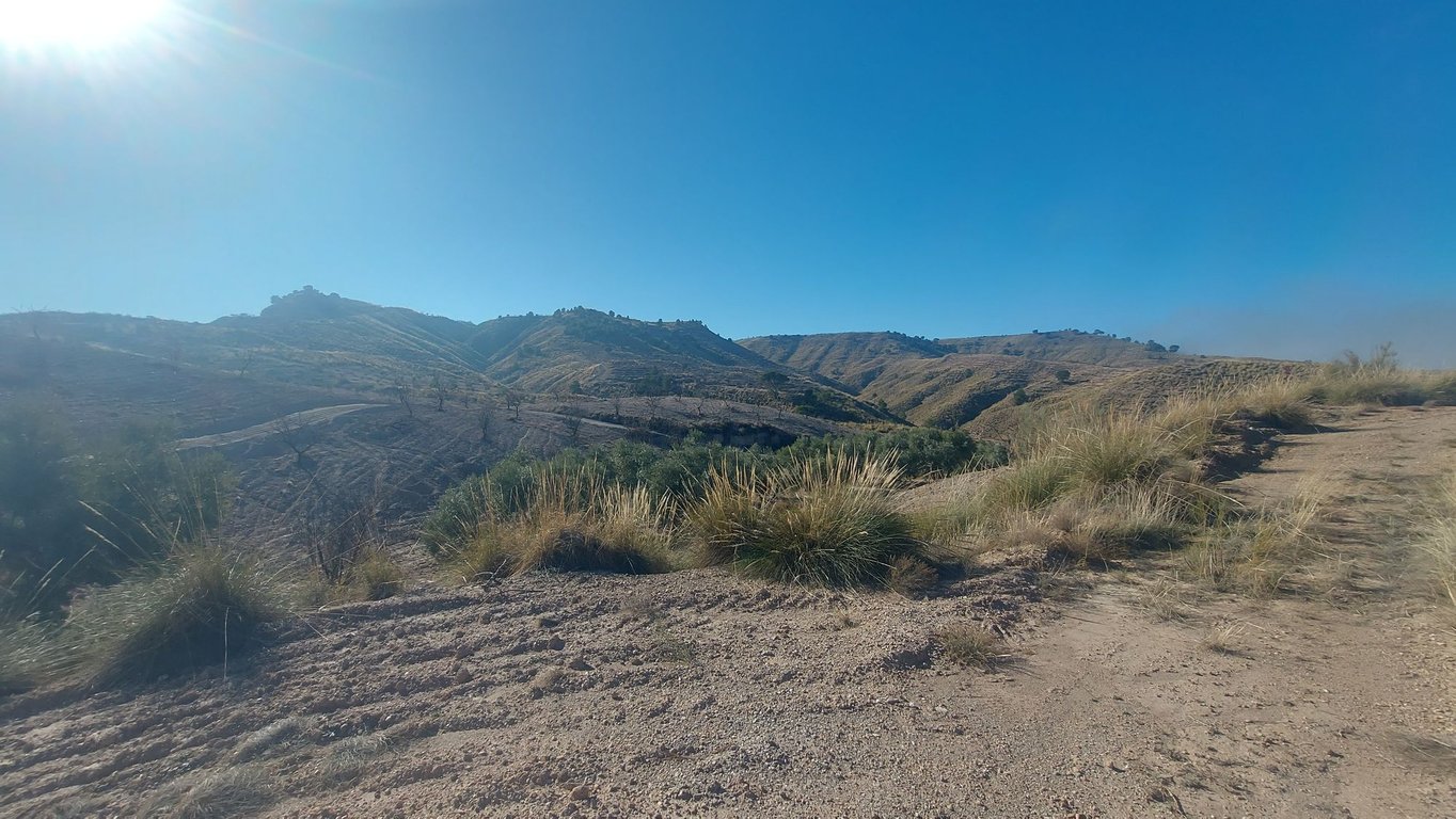Land in Freila - Image 5