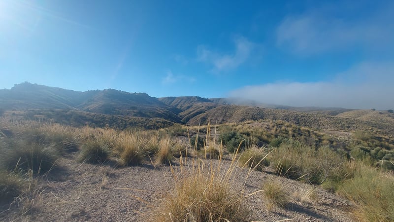 Land in Freila - view 1