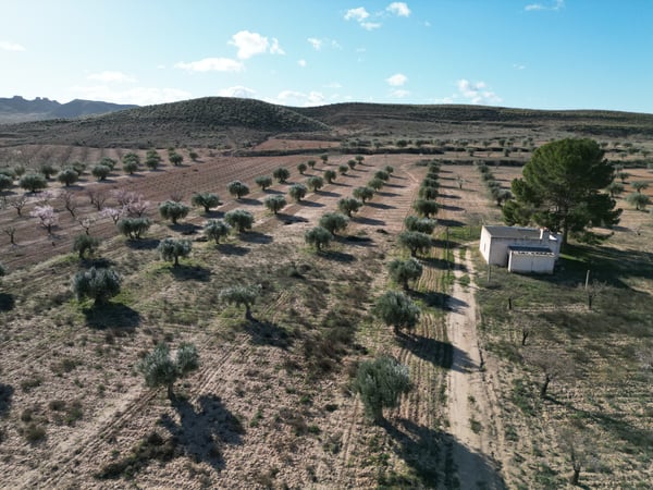 Land in La Alqueria - view 1