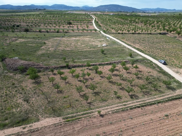 Land in Lel - view 1