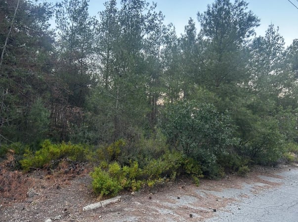 House in Moniatis - view 1