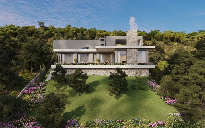 House in Moniatis - view 1